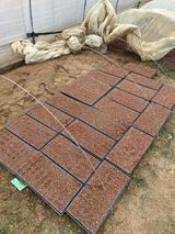 팜모닝 오이·영농일지 게시글 이미지