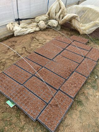 님의 작성글 사진