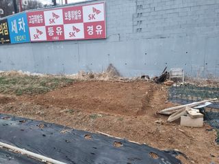 양길호님의 기타작물 · 영농일지 작성글 사진