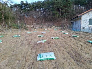 주재필님의 기타작물 · 영농일지 작성글 사진