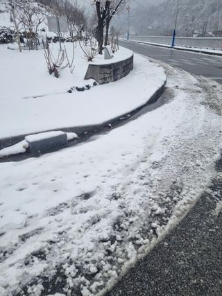 김용대님의 기타작물 · 영농일지 작성글 사진