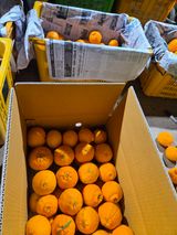 산방자연농원님의 작성글 사진