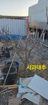 팜모닝 기타작물·영농일지 게시글 이미지