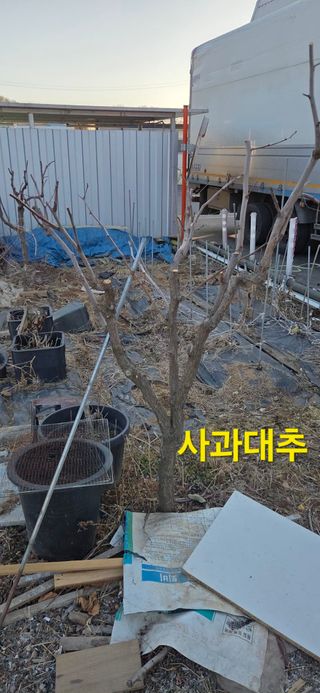 김성필님의 기타작물 · 영농일지 작성글 사진