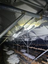 팜모닝 포도·영농일지 게시글 이미지