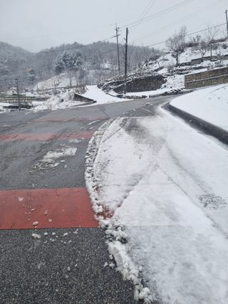 김용대님의 기타작물 · 영농일지 작성글 사진