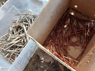 김홍중님의 두릅 · 영농일지 작성글 사진