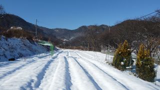 정천복님의 기타작물 · 영농일지 작성글 사진