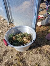 블루베리25247님의 작성글 사진