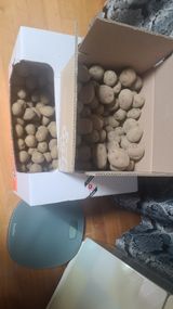 팜모닝 감자·영농일지 게시글 이미지