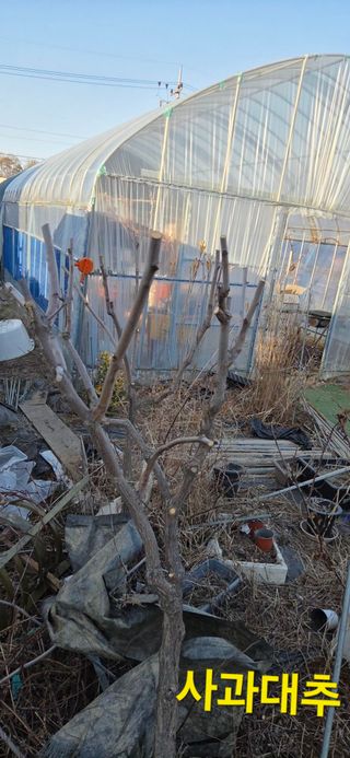 김성필님의 기타작물 · 영농일지 작성글 사진