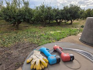 산방자연농원님의 작성글 사진