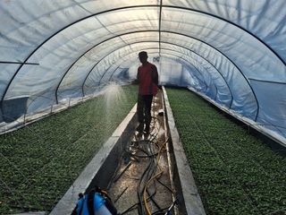 이.일신.꽃분아빠님의 고추 · 영농일지 작성글 사진