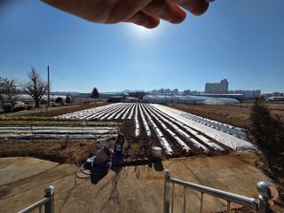 김동현님의 감자 · 영농일지 작성글 사진