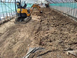 건강한먹거리님의 고추 · 영농일지 작성글 사진