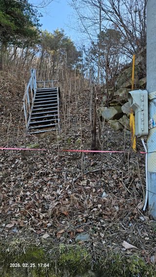 임상근님의 두릅 · 영농일지 작성글 사진