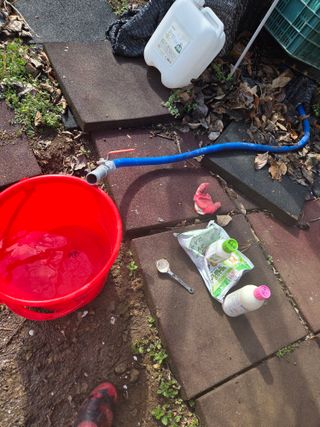 박영애님의 감 · 영농일지 작성글 사진