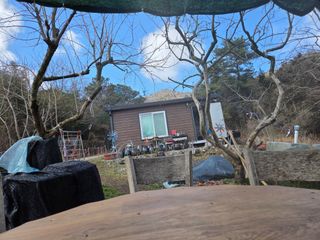 박영애님의 감 · 영농일지 작성글 사진