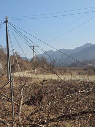 박상우님의 기타작물 · 영농일지 작성글 사진
