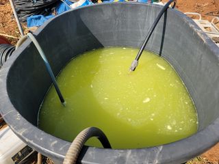 이용찬 열매마농원님의 기타작물 · 영농일지 작성글 사진