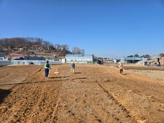 최월숙(왈순아지매)님의 기타작물 · 영농일지 작성글 사진