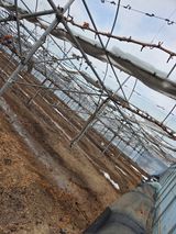 팜모닝 기타작물·영농일지 게시글 이미지