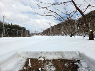 윤장원님의 기타작물 · 영농일지 작성글 사진