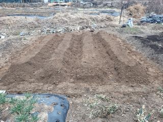 양길호님의 기타작물 · 영농일지 작성글 사진