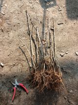 김홍중님의 작성글 사진