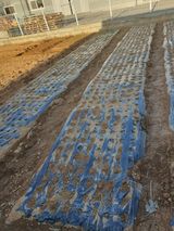 정병학님의 작성글 사진