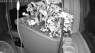 정종배님의 기타작물 · 영농일지 작성글 사진