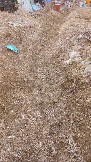 강성흔목사 님의 기타작물 · 영농일지 작성글 사진