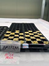 팜모닝 기타작물·영농일지 게시글 이미지