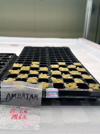 곽준영(푸르온)님의 기타작물 · 영농일지 작성글 사진