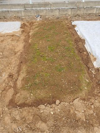 정병학님의 시금치 · 영농일지 작성글 사진