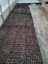 팜모닝 기타작물·영농일지 게시글 이미지