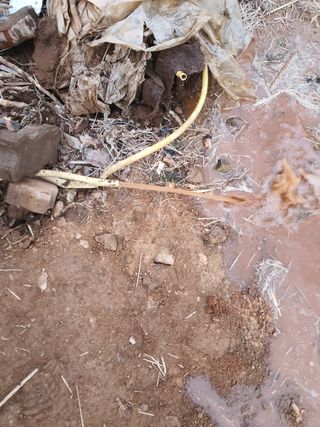 정병학님의 기타작물 · 영농일지 작성글 사진