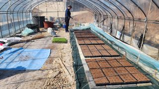 윤희한님의 기타작물 · 영농일지 작성글 사진