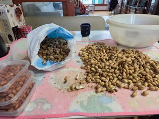 김윤회님의 기타작물 · 영농일지 작성글 사진