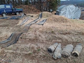 형남영님의 고추 · 영농일지 작성글 사진