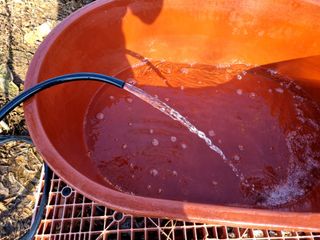 김지철님의 기타작물 · 영농일지 작성글 사진