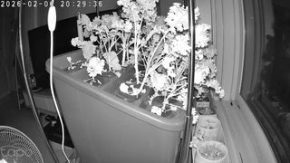 정종배님의 기타작물 · 영농일지 작성글 사진