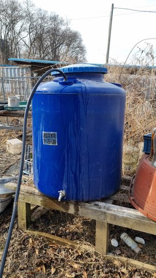 김지철님의 기타작물 · 영농일지 작성글 사진