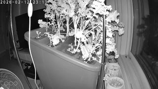 정종배님의 기타작물 · 영농일지 작성글 사진