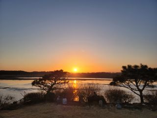 신승철님의 사과 · 영농일지 작성글 사진