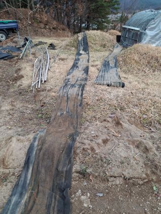 형남영님의 고추 · 영농일지 작성글 사진