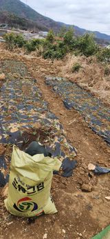 팜모닝 기타작물·영농일지 게시글 이미지