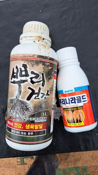 주윤발이님의 복숭아 · 영농일지 작성글 사진