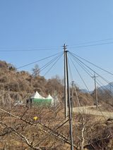 팜모닝 복숭아·영농일지 게시글 이미지