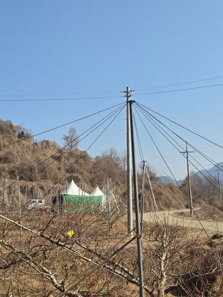 박상우님의 복숭아 · 영농일지 작성글 사진